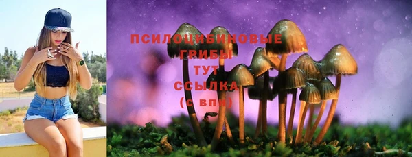 тгк Пестово