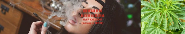 амф Переславль-Залесский