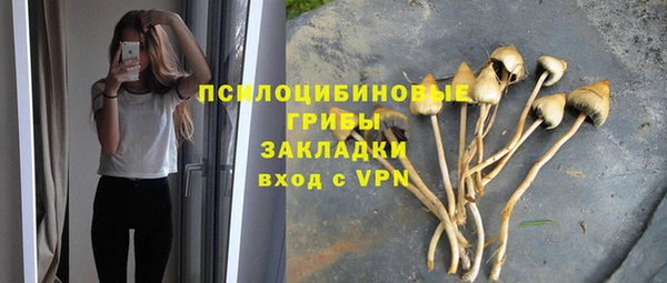 амф Переславль-Залесский