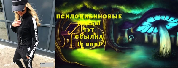 mdpv Пересвет