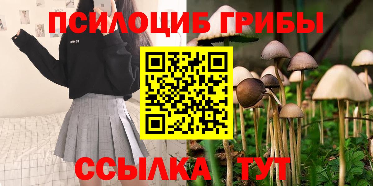Псилоцибиновые грибы GOLDEN TEACHER  Псилоцибиновые грибы ЛСД  Вход с VPN  Отрадный 